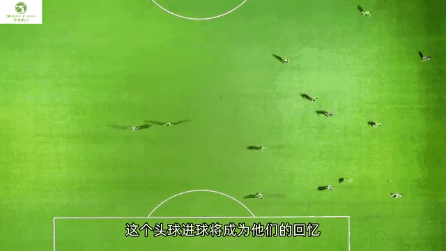 爱奇艺体育官网-星火战魂与战马战队在英雄联盟中上演巅峰对决，最终扳平比分，逆风翻盘成经典