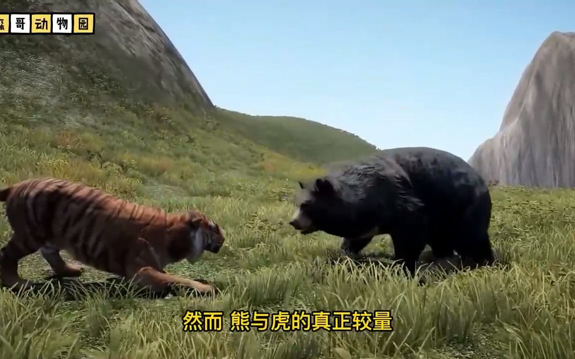 爱奇艺体育官网-力与技的较量，看谁更胜一筹